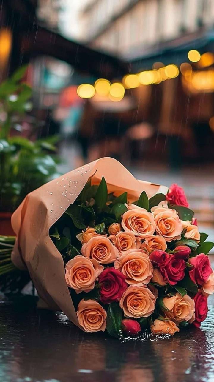 مجلة الأنيقة